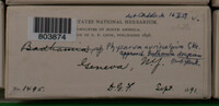 Image Associated With the Occurence